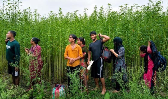 দোলতপুর সীমান্তের ৮ জনকে পুশইন চেষ্টা রুখে দিলো বিজিবি
