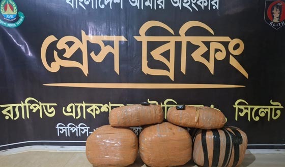 মাধবপুরে যৌথ অভিযানে গাঁজা ও ইয়াবাসহ গ্রেফতার ১