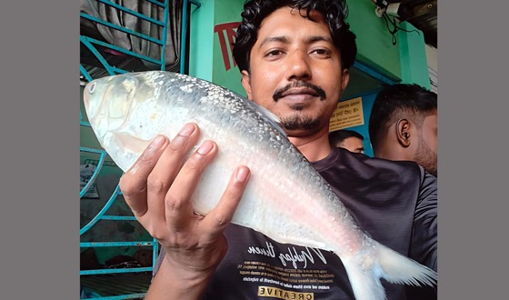 সাগরে ধরা পড়ল ২ কেজির  ইলিশ,  বিক্রি হলো ৬ হাজার ৮২৫ টাকায়