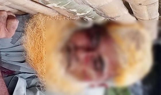 দৌলতপুরে বৃদ্ধকে কুপিয়ে হত্যা