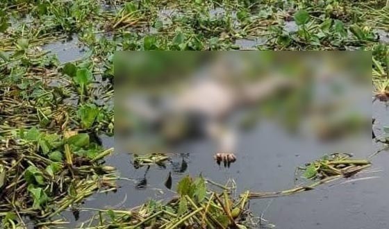 ভৈরব নদ থেকে অজ্ঞাত যুবকের মরদেহ উদ্ধার