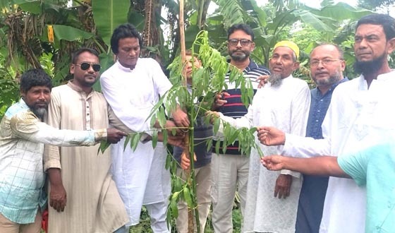 পিরোজপুরে কৃষক দলের বৃক্ষরোপণ ও বিতরণ কর্মসূচির উদ্বোধন