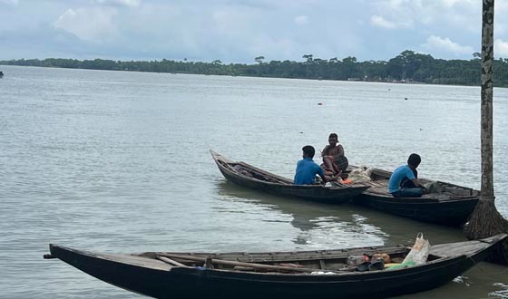কাউখালীসহ উপকূলীয় এলাকায় বড় মৌসুমেও ইলিশের আকাল