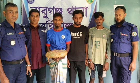 বাবুগঞ্জে গাঁজাসহ তিন মাদক কারবারি আটক