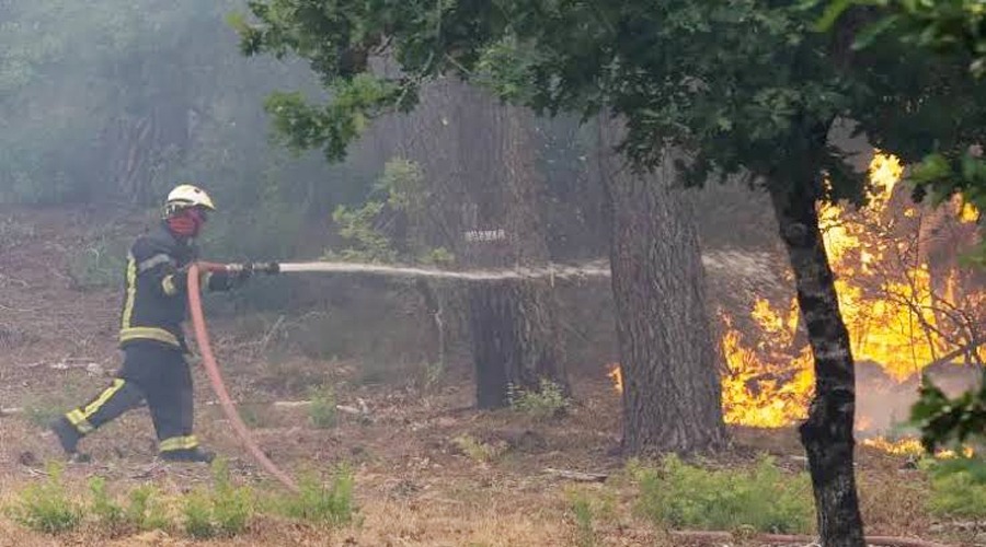ফ্রান্স ও স্পেনে ভয়াবহ দাবানল, নিয়ন্ত্রণে হিমশিম খাচ্ছেন দমকল কর্মীরা