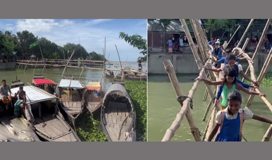 নিকলীতে শিক্ষার্থীদের ঝুঁকিপূর্ণ বাশেঁর সাকু দিয়ে বিদ্যালয়ে যেতে হয়