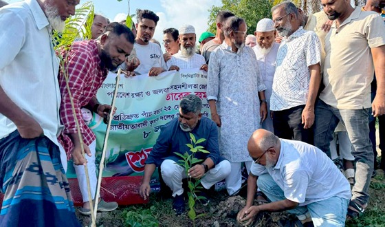 মহাদেবপুরে বৃক্ষরোপণ উদ্বোধন করলেন এমপি বাবুল