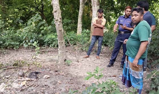 মধুখালীর বাথরুমে বস্তাবন্দি নারীর কঙ্কাল উদ্ধার