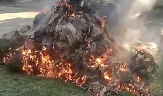 মান্দায় ৫ লক্ষাধিক টাকার অবৈধ জাল পুড়িয়ে ধ্বংস