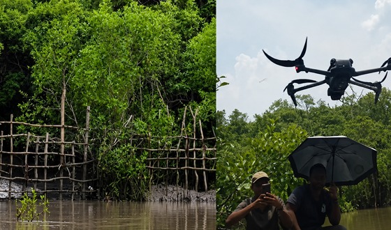 সুন্দরবনের ৯ খালের মুখে কাঠের বেষ্টনী, টহলে ড্রোন, কমছে অপরাধ
