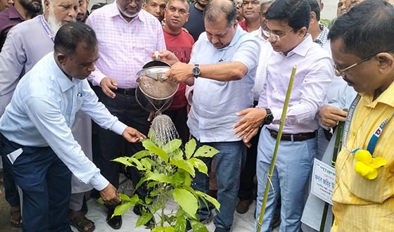 গাছের চারাকে শিশুর মতো লালন-পালন করতে হবে: তথ্যমন্ত্রী