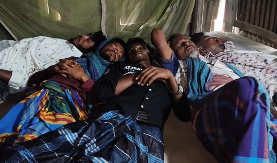 ডাকাতদের তাণ্ডব: ৭ মহিষপালক আহত, মহিষ-নগদ টাকা লুট