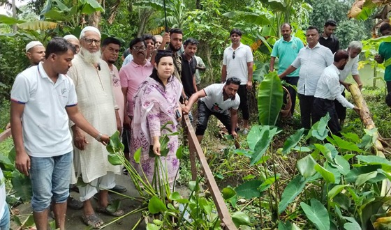 বাবুগঞ্জে স্বেচ্ছাশ্রমে খাল পরিষ্কার কর্মসূচির উদ্বোধন