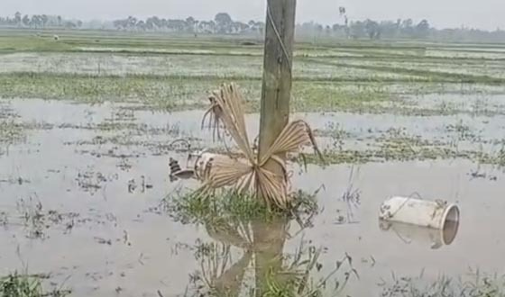 ক্ষেতলালে নলকূপের ট্রান্সফরমার নামিয়ে তামার যন্ত্রাংশ লুট