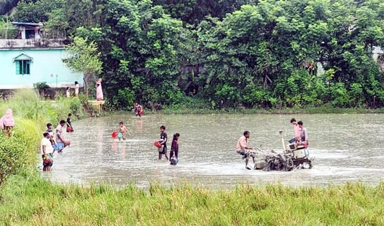 বন্যাপরবর্তী রাউজানে জমি চাষের সঙ্গে মাছ ধরার উৎসব