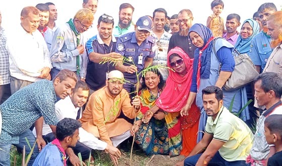 সবুজায়ন কর্মসূচির অংশ হিসেবে বিরলে বৃক্ষরোপন কর্মসূচি সম্পন্ন