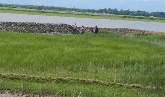 কপোতাক্ষের জেগে ওঠা জমি দখলে বেপরোয়া, প্রশাসনের হস্তক্ষেপ কামনা