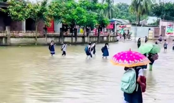 চাঁদপুরে টানা বৃষ্টিতে নিচু এলাকা প্লাবিত, ভোগান্তিতে শিক্ষার্থীরা