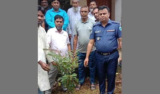 সেনবাগ শিক্ষা প্রতিষ্ঠানে শিক্ষার্থীর গাছের চারা বিতরণ