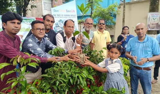 ঝিনাইদহের পরিবেশের ভারসাম্য রক্ষায় গাছের চারা বিতরণ