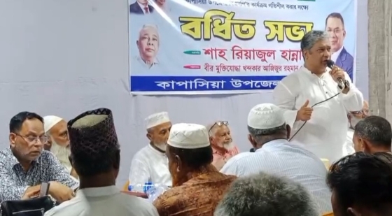 কাপাসিয়া উপজেলা বিএনপির বর্ধিত সভা