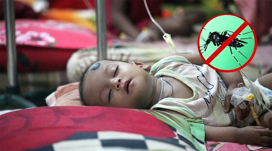 চলতি বছরের সাত মাসে ডেঙ্গুতে ৫৪ জনের মৃত্যু, আক্রান্ত ১৫ হাজারের বেশি