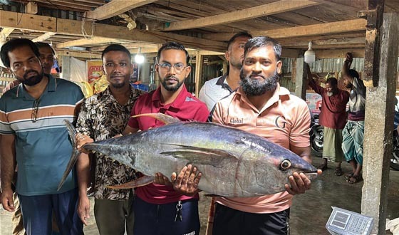 বঙ্গোপসাগরে ধরা পড়ল ২৯ কেজির টুনা মাছ, বিক্রি ৪০ হাজার টাকায়