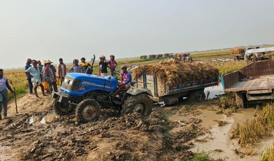 কলমুডাঙ্গা মাঠের রাস্তায় গর্ত, ধান নিয়ে বিপাকে কৃষক