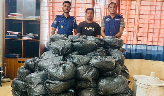 মাধবপুরে প্রায় ৫ মন ভারতীয় গাঁজাসহ গ্রেফতার ১