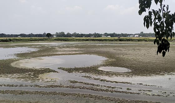 সংস্কারের অভাবে উৎপাদনহীন পুরাতন পুকুর-দীঘি, প্রশাসনের দ্বারস্থ কৃষকরা