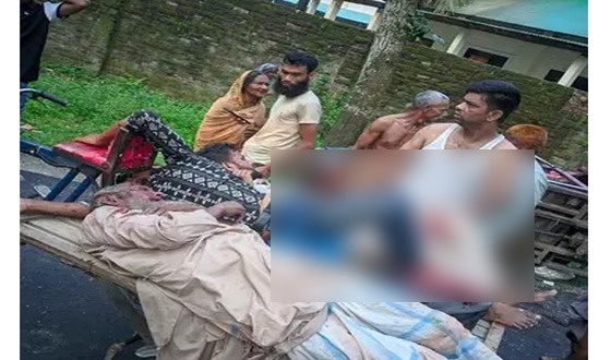 কুড়িগ্রামে ট্রাক-অটোরিকশার মুখোমুখি সংঘর্ষে নিহত ১, আহত ৩
