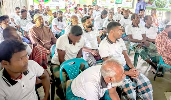 বীরগঞ্জে বায়োপেস্টিসাইড ব্যবহার বিষয়ে সচেতনতামূলক কর্মশালা