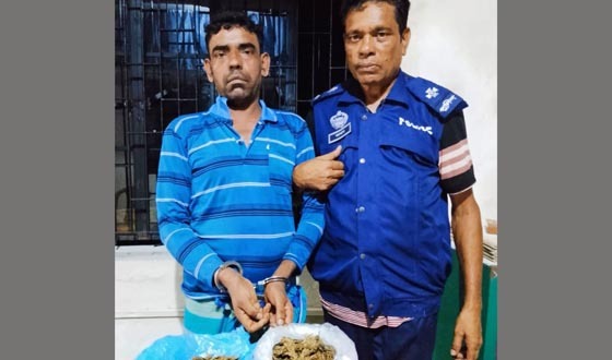 কাউখালীতে মাদক ব্যবসায়ী গ্রেপ্তার