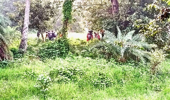 গোমস্তাপুরের বাঙ্গাবাড়ি সীমানে ২৮ জনকে পুশইনের চেষ্টা