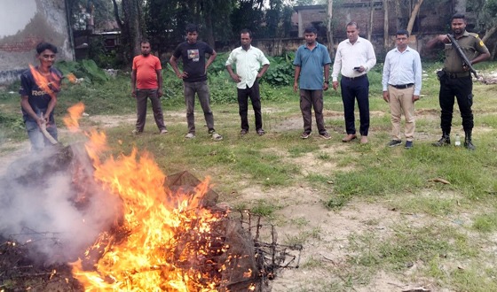 রাণীনগরে লক্ষাধীক টাকার নিষিদ্ধ রিংজাল জব্দ করে ভস্মিভূত