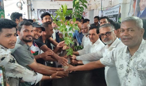 নওগাঁ জেলা ছাত্র দলের বৃক্ষ রোপণ কর্মসূচী পালিত