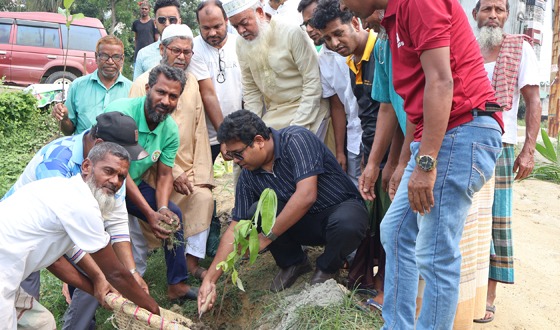 সিংড়ায় বিশ্ব পরিবেশ দিবসে বৃক্ষরোপন