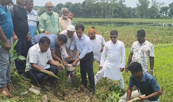 জীবনের জন্যই গাছ লাগাতে হবে: এমপি ধলু