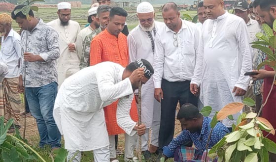 বুরুঙ্গারচরে রাস্তার দুপাশে বৃক্ষরোপণ কর্মসূচির উদ্বোধন