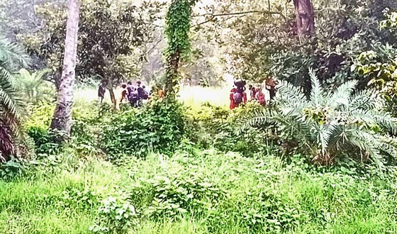 ২৮ জনকে পুশইনের চেষ্টা ব্যর্থ হয়ে ফিরিয়ে নিয়েছে বিএসএফ