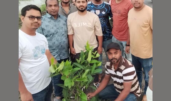 অভয়নগরে স্বেচ্ছাশ্রমে বৃক্ষরোপণ করল ‘আলোকিত ধোপাদী’