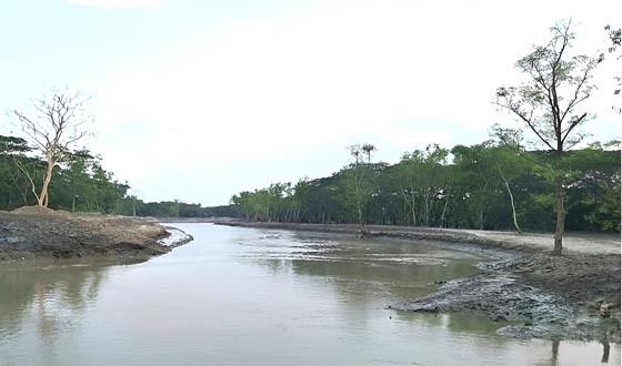 দুই যুগ পরে সুন্দরবনের দুই খালে জোয়ার ভাটার স্পন্দন
