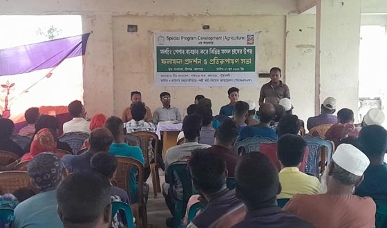 কলাপাড়ায় মালচিং পেপার ব্যবহার করে ফসলের ফলাফল প্রদর্শন