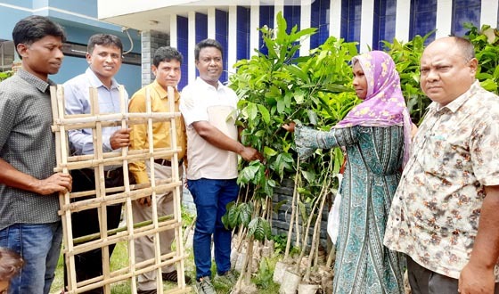 সৈয়দপুরে ব্র্যাকের উদ্যোগে গাছের চারা ও হাঁসের বাচ্চা বিতরণ