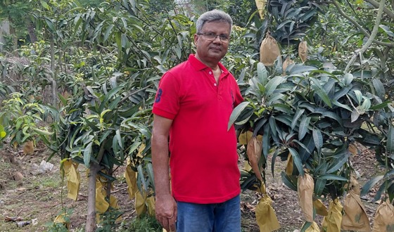 বাঘা থেকে চলতি মৌসুমে প্রথম চালান যাচ্ছে ফ্রান্সে