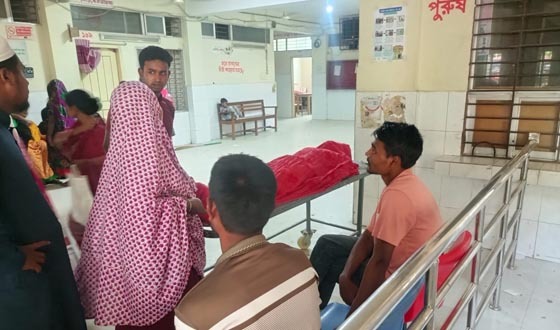 গাংনীতে সাপের কামড়ে কৃষকের মৃত্যু