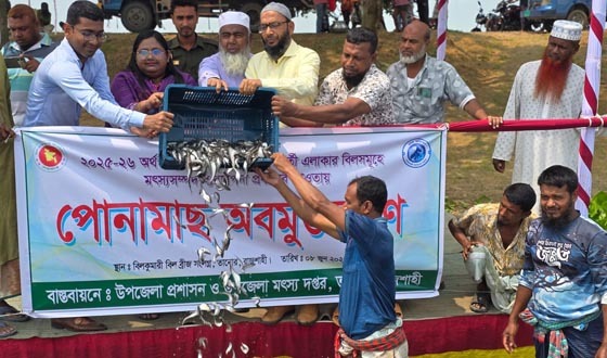 তানোরে বিল কুমারী বিলে মাছের পোনা অবমুক্তকরণ করা হয়েছে
