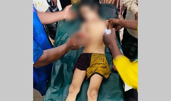 নানার বাড়িতে বেড়াতে এসে পানিতে ডুবে লাশ হলো ছামিয়া