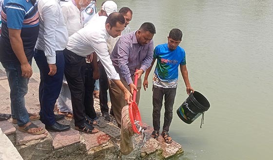 কাউখালীতে দেশীয় মাছের প্রজাতি সংরক্ষণে পোনা মাছ অবমুক্তকরণ