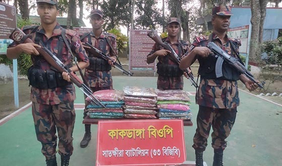 সাতক্ষীরা ও কলারোয়া সীমান্তে সাড়ে ১৩ লাখ টাকার মালামাল জব্দ